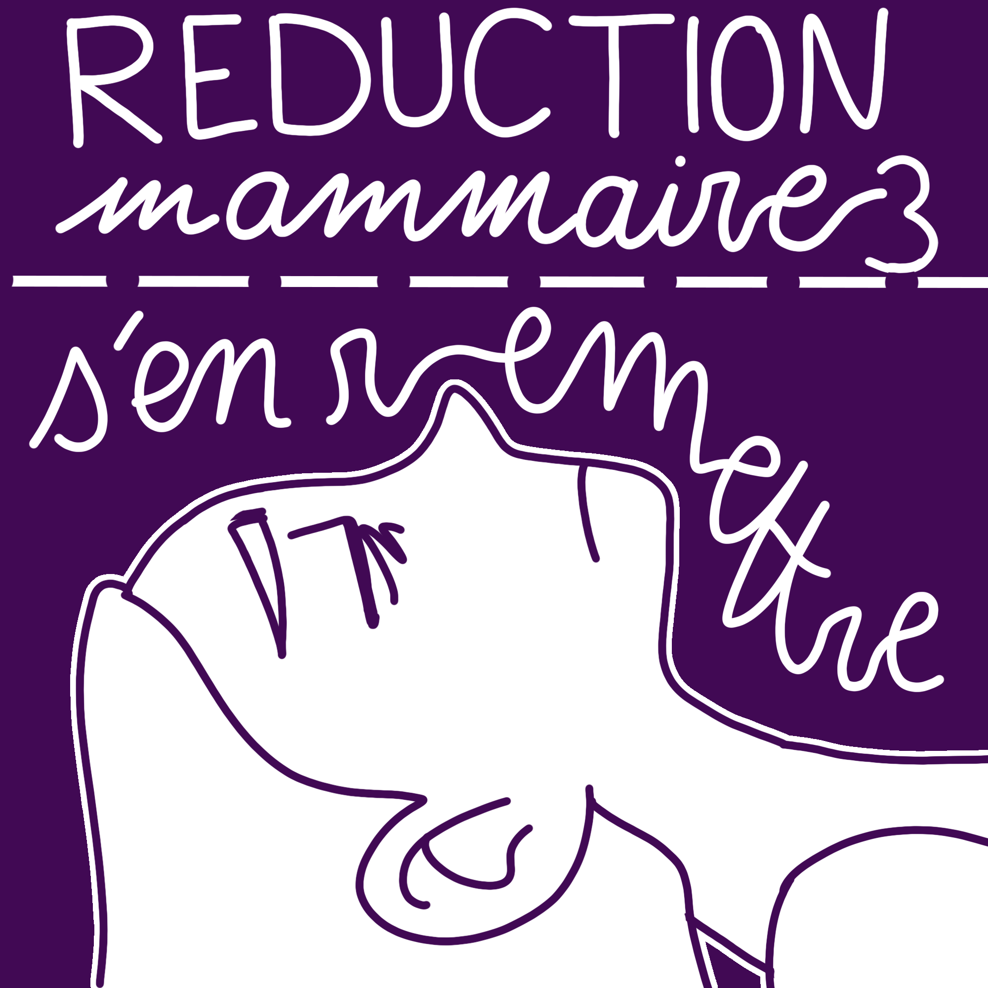 Couverture BD Réduction mammaire 3